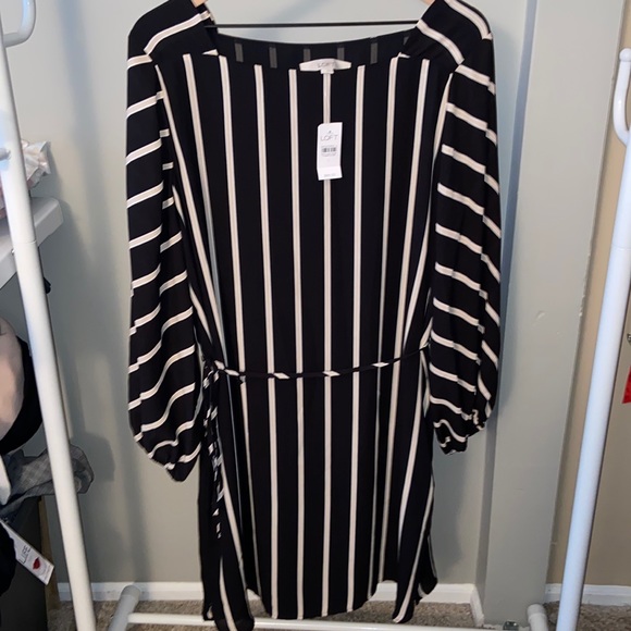 J. Crew Dresses & Skirts - Loft L Cream, White & Black Dress NWT